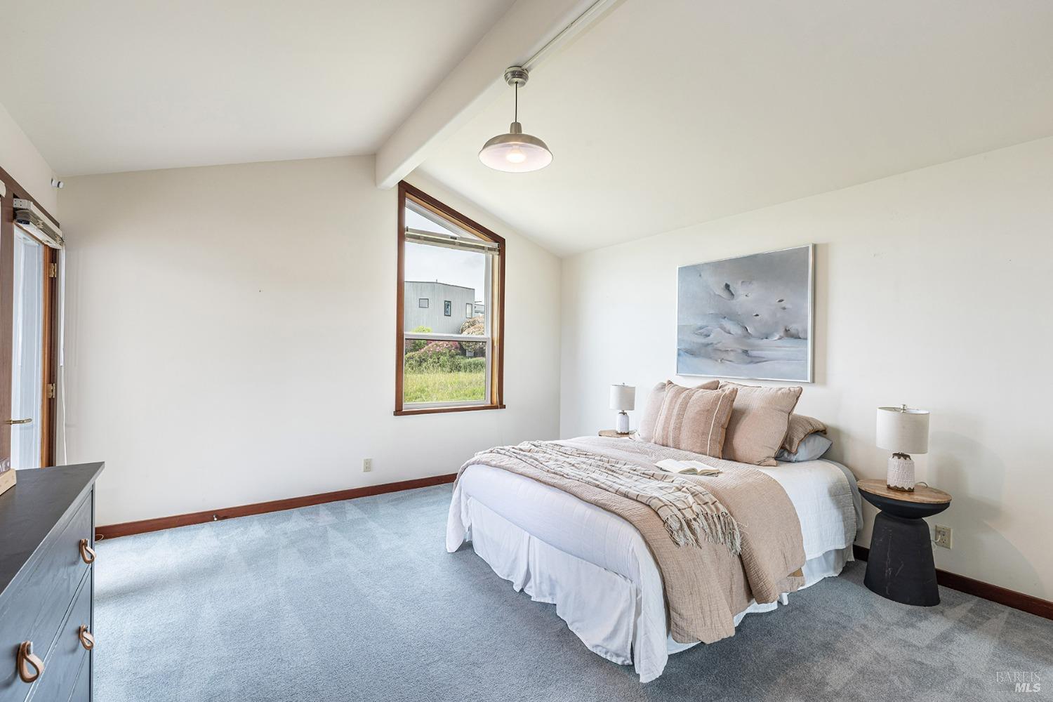 MLS #325035842 image #36