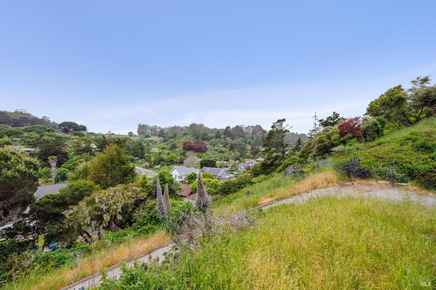 MLS #325040026 image #6