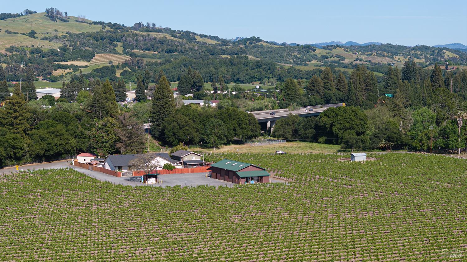 MLS #325047831 image #9
