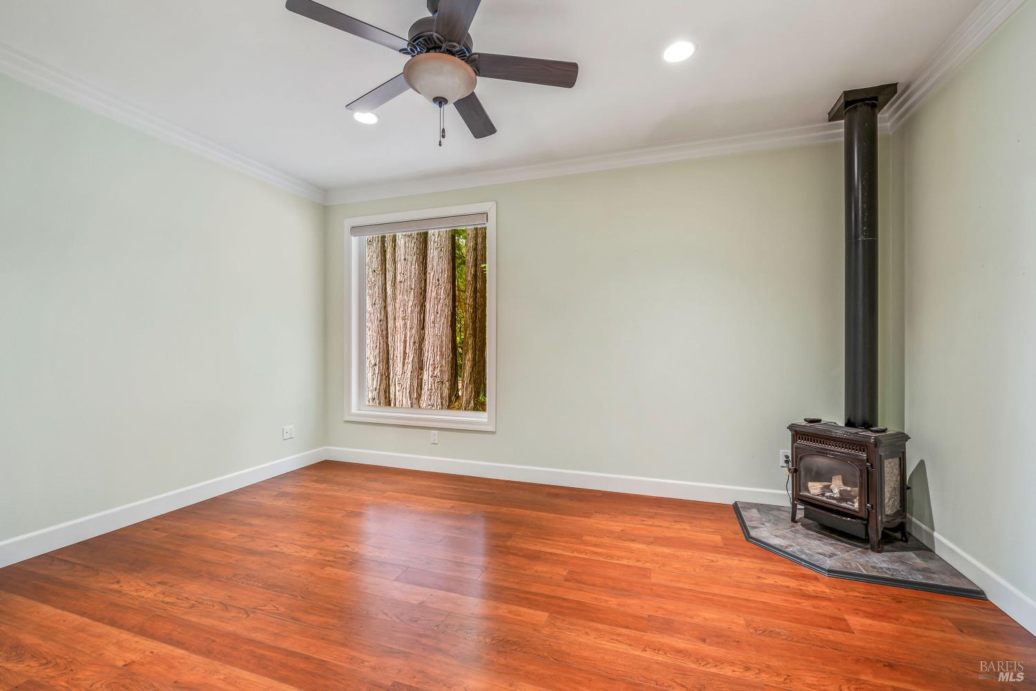 MLS #325069151 image #28
