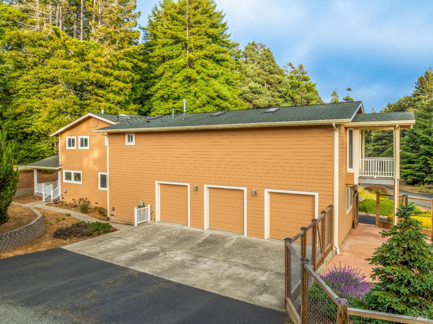 MLS #325069151 image #53