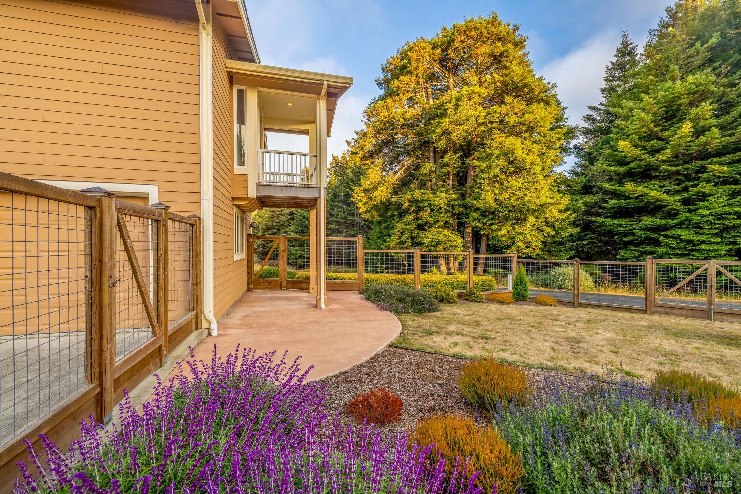 MLS #325069151 image #55