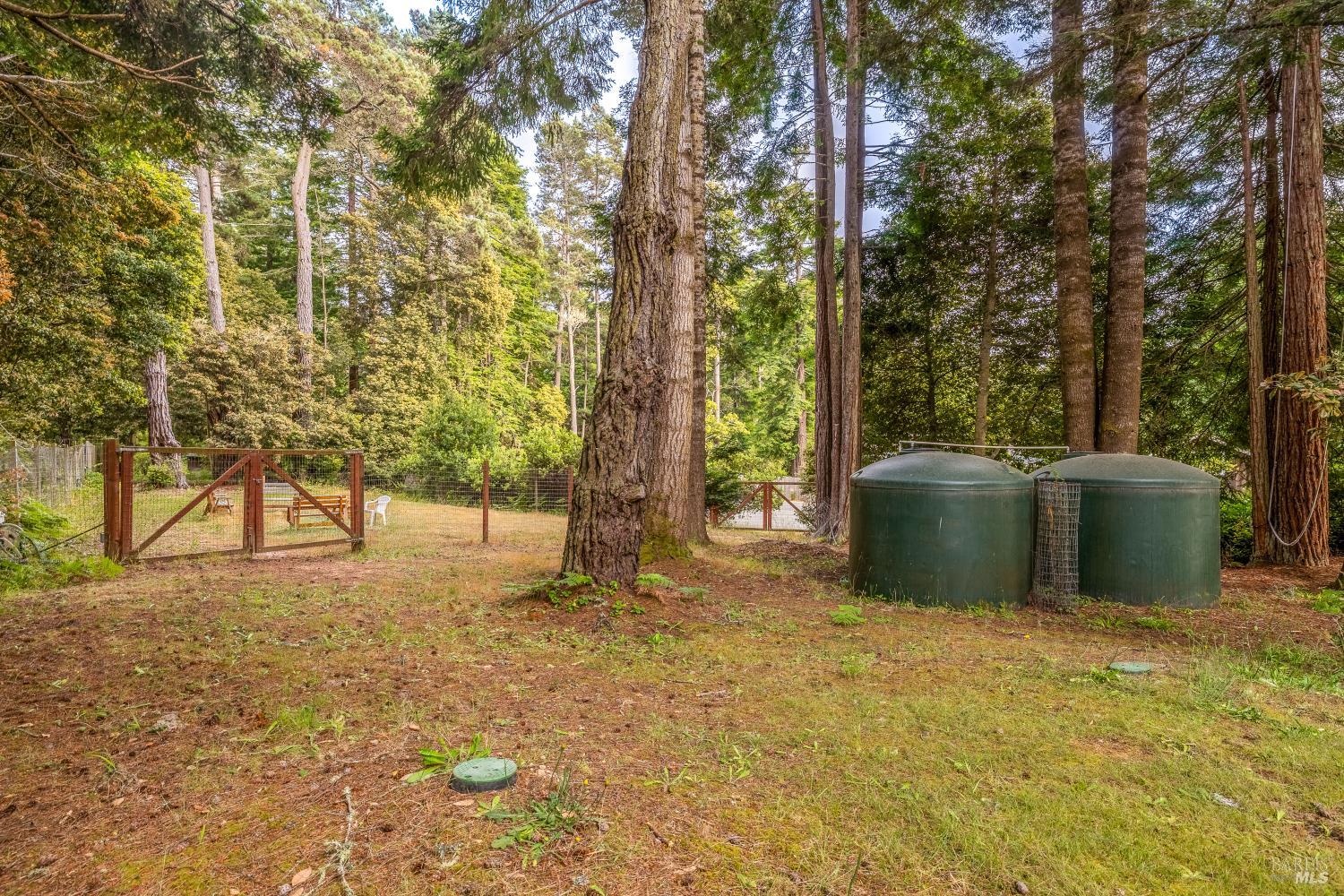 MLS #325069151 image #67
