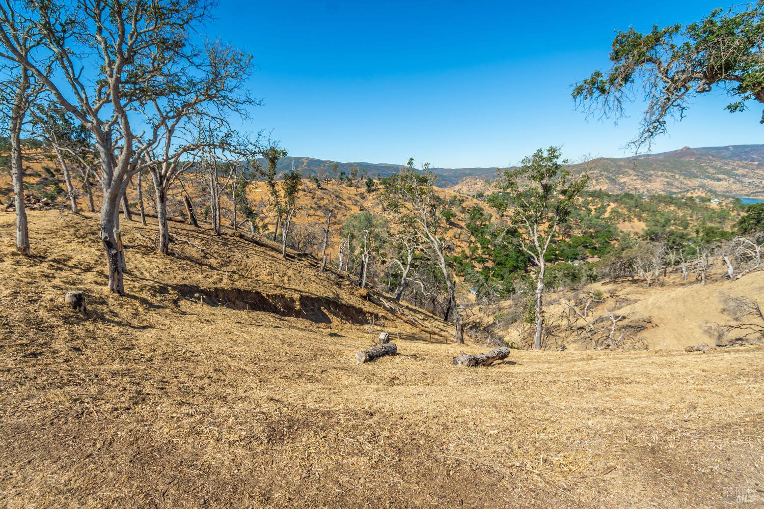 MLS #325078028 image #21