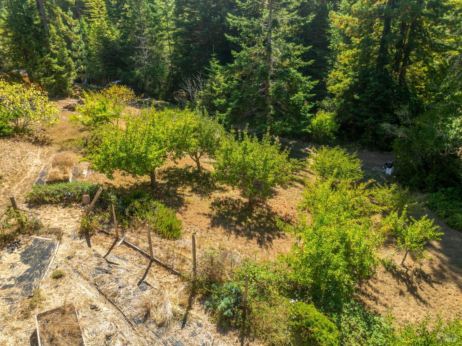 MLS #325080952 image #26