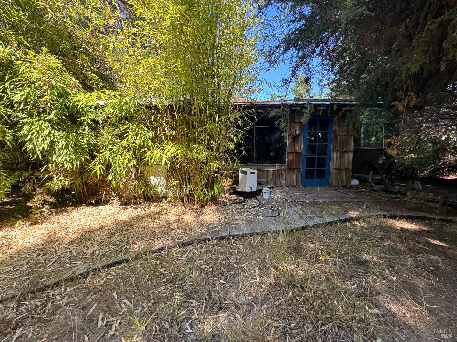 MLS #325083007 image #14