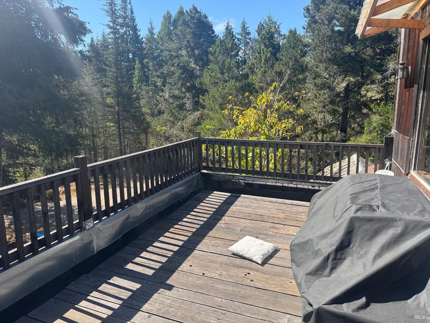 MLS #325083007 image #2