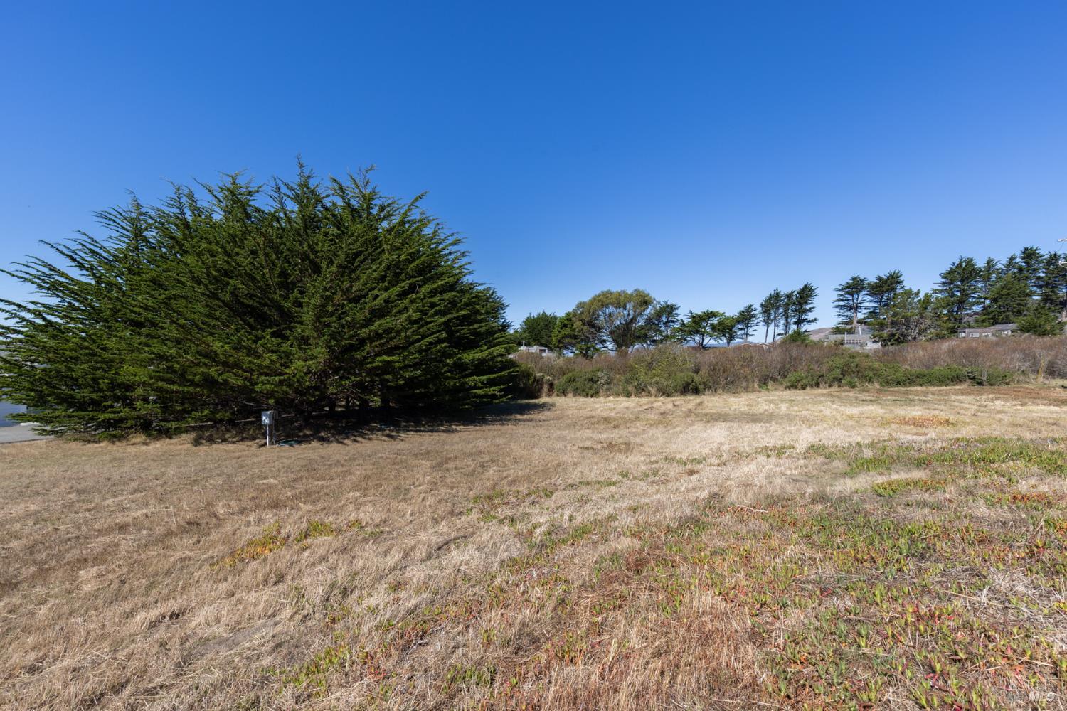 MLS #325086694 image #8