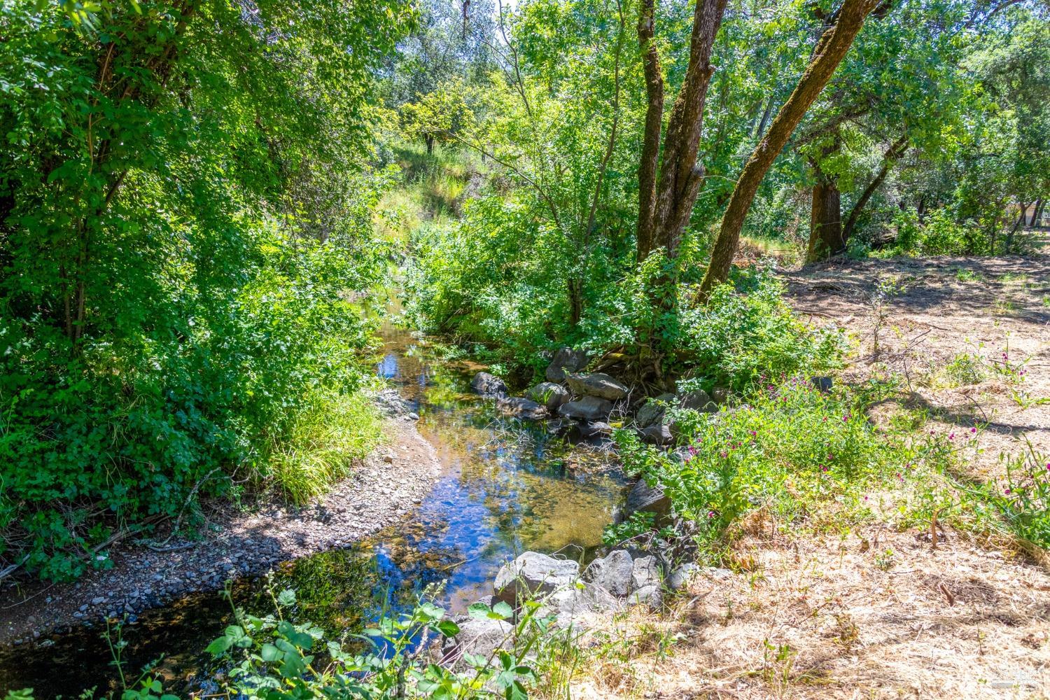 MLS #325092852 image #3