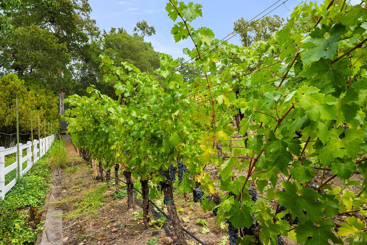 MLS #325092893 img 46