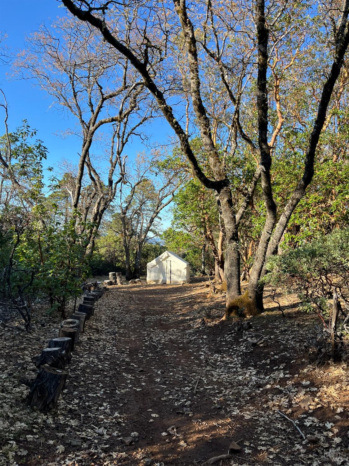 MLS #326001938 image #32