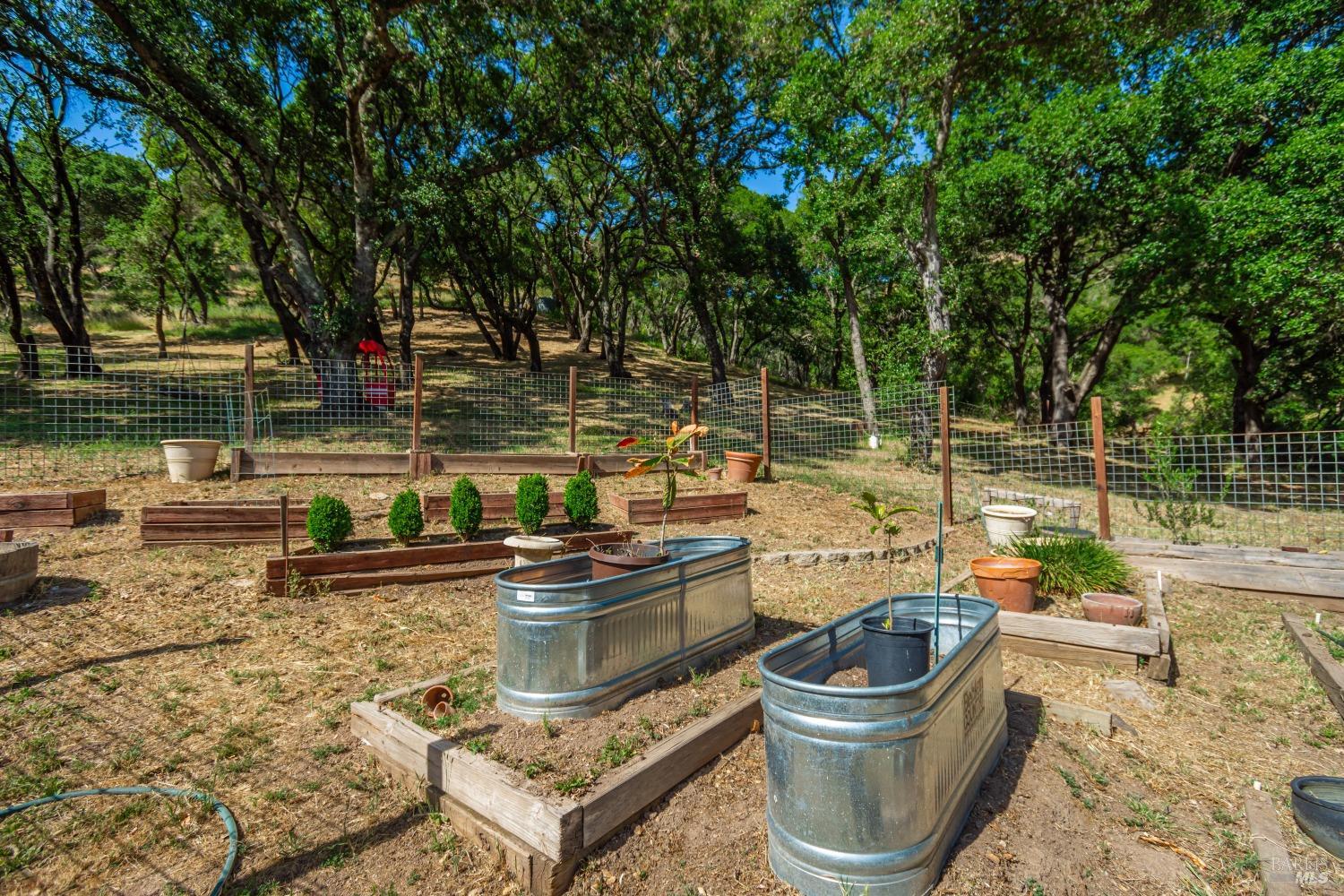 MLS #326004165 img 12