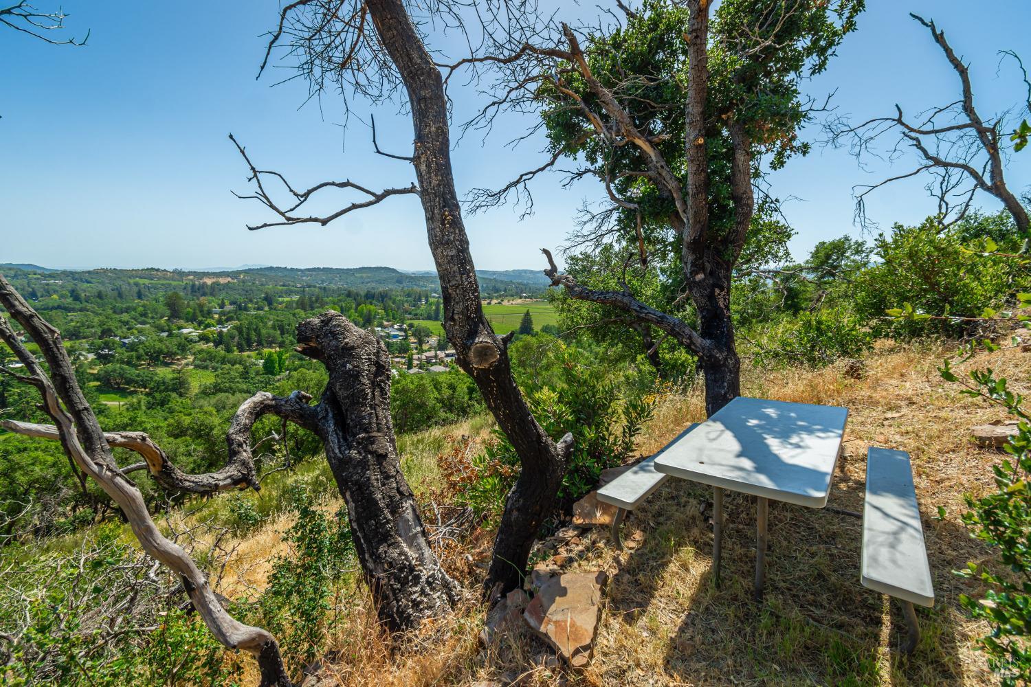 MLS #326004165 img 7