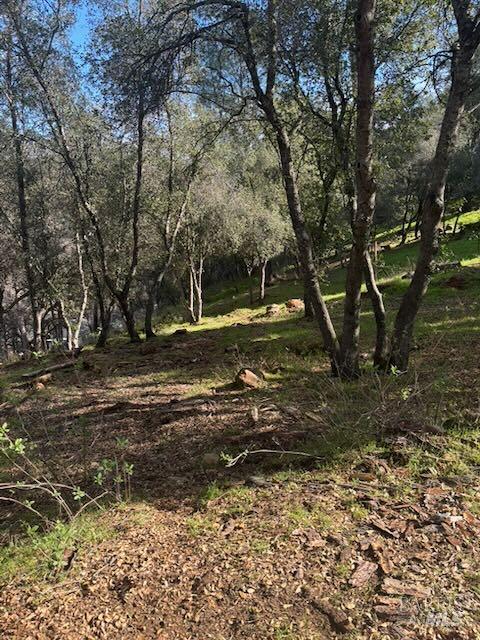 MLS #326005329 image #1