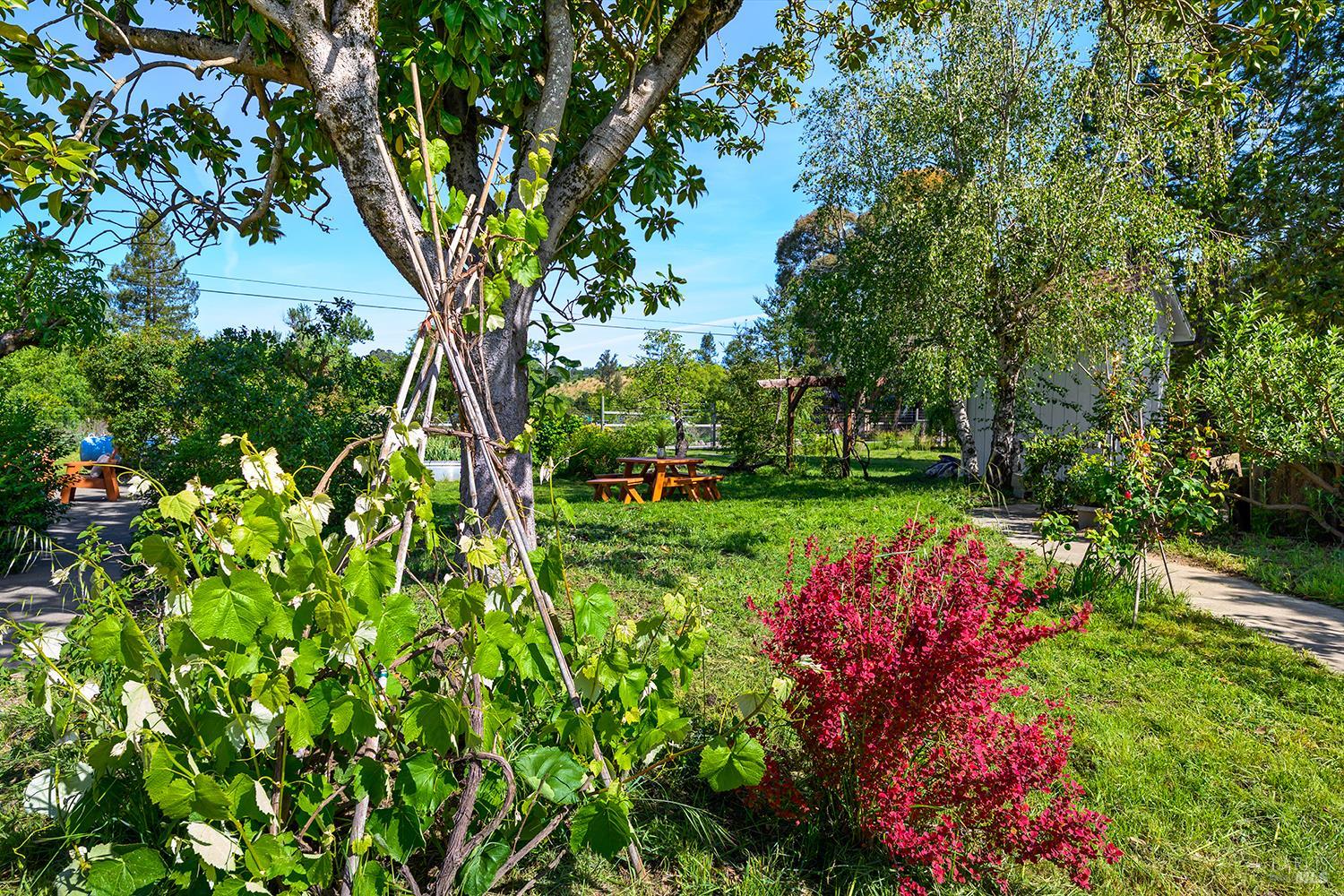 MLS #326005927 image #48