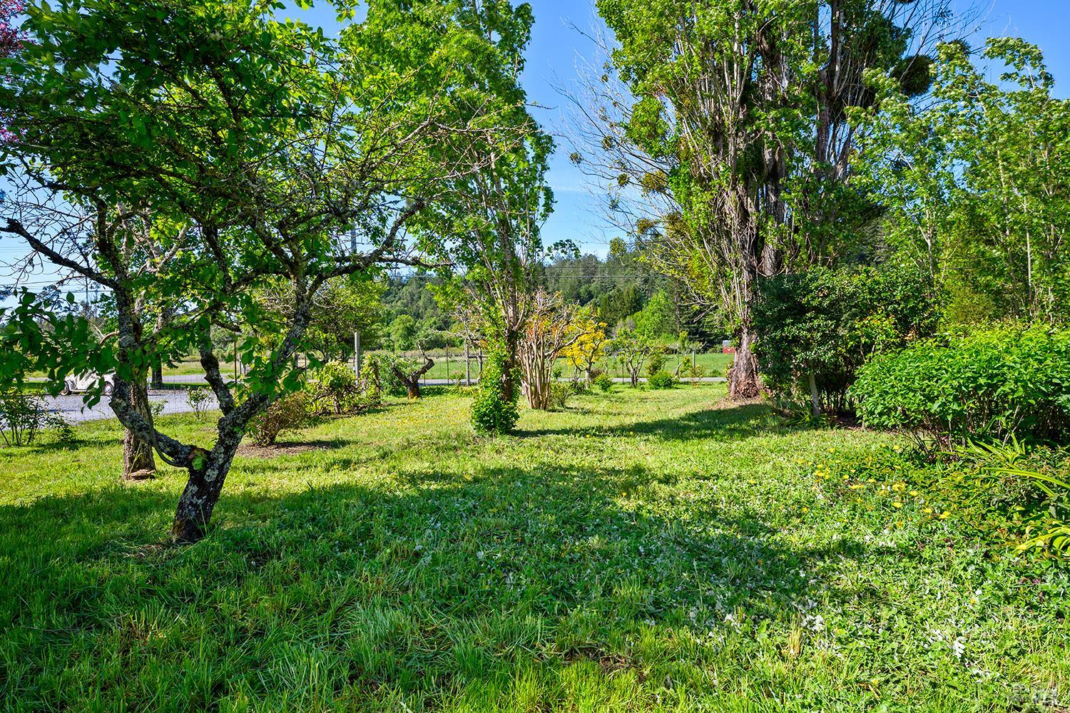 MLS #326005927 image #49