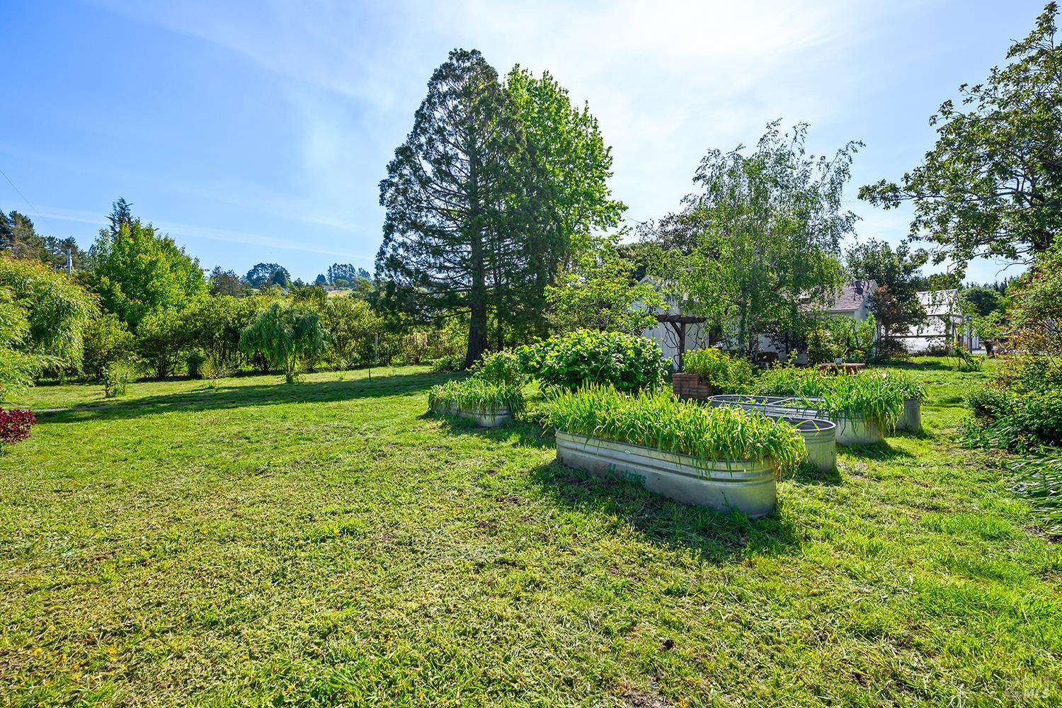 MLS #326005927 image #50
