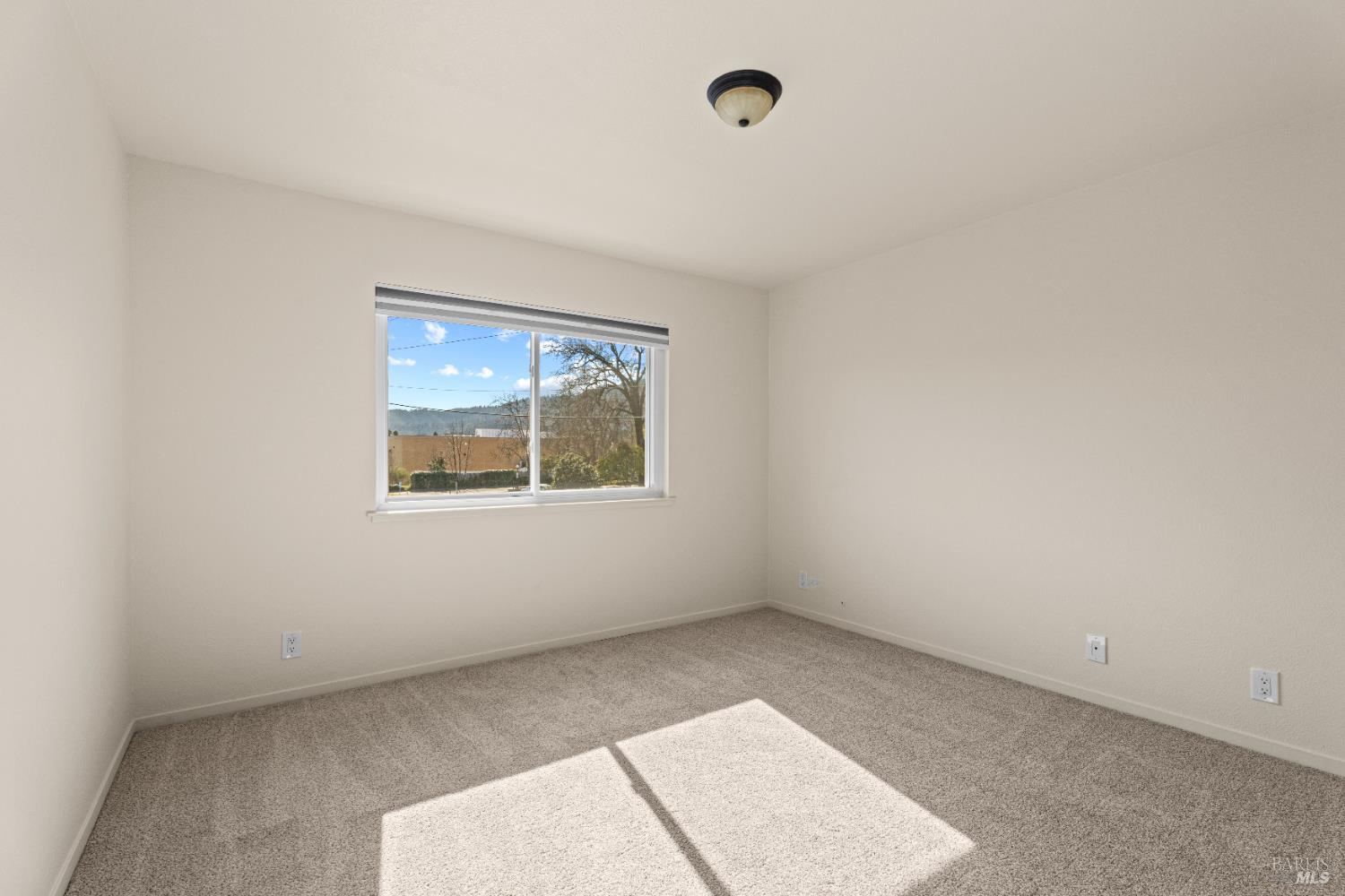 MLS #326008444 image #7