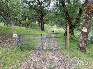 MLS #326013541 image #4