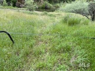 MLS #326013541 image #6