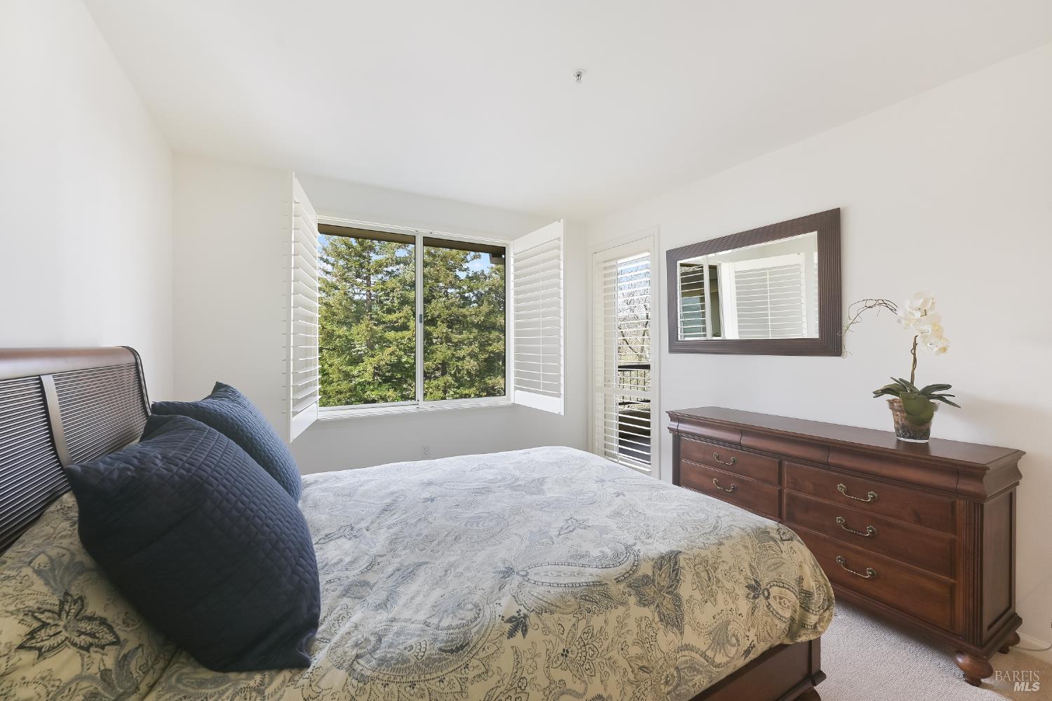 MLS #326015869 image #4