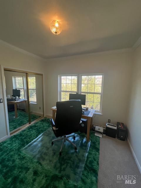 MLS #326016902 image #23