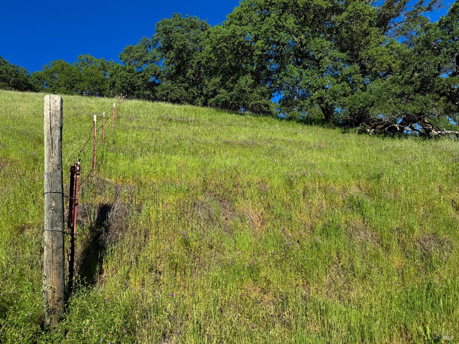 MLS #326021816 image #77