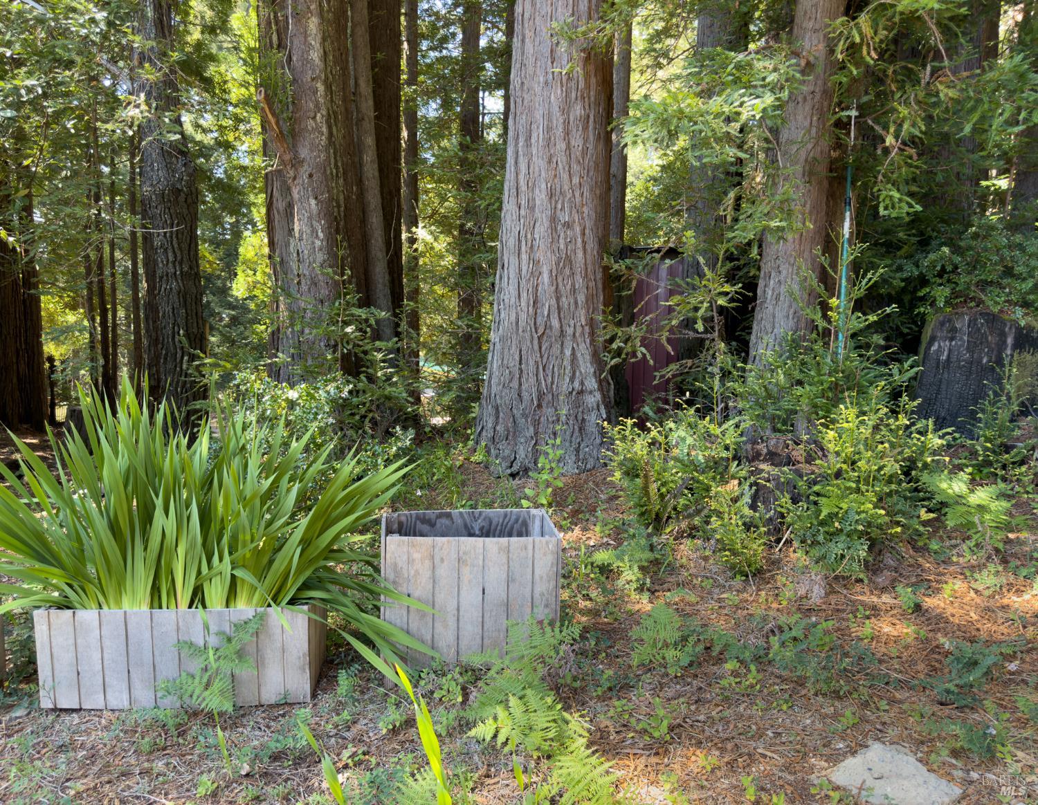 MLS #326028337 image #31