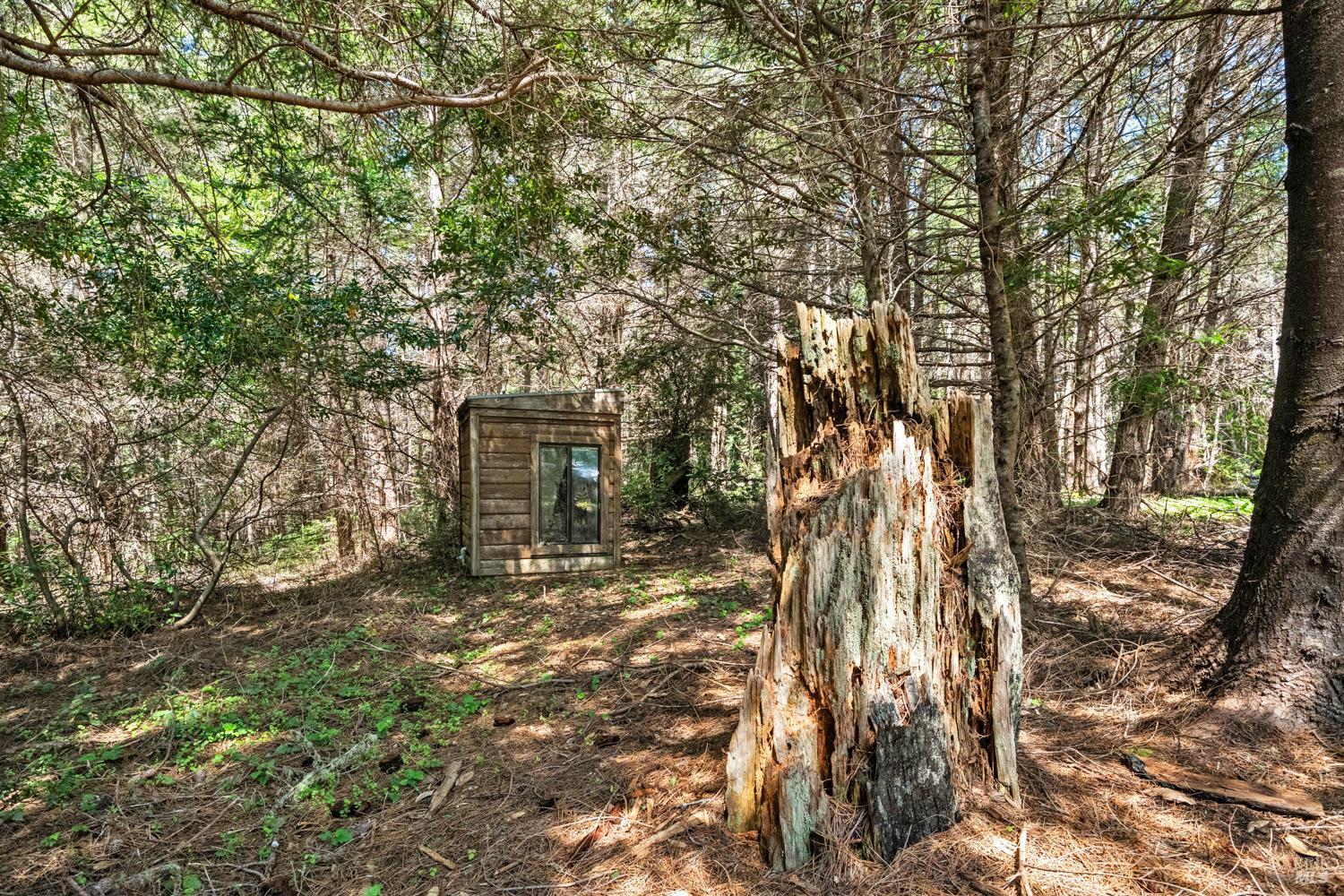 MLS #326028638 image #36