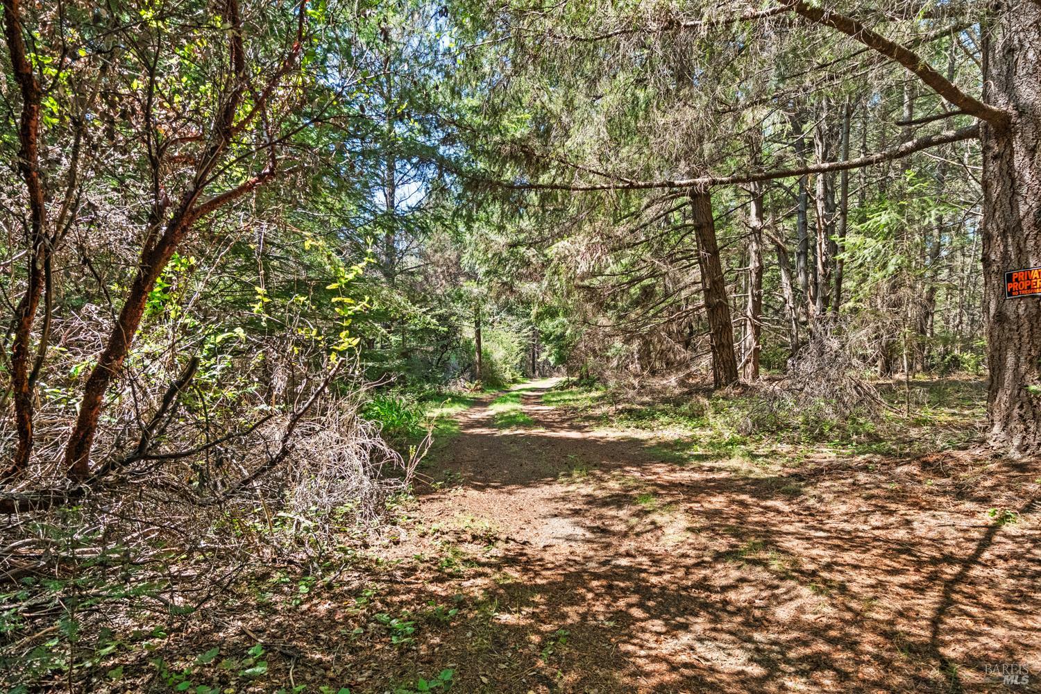 MLS #326028638 image #37