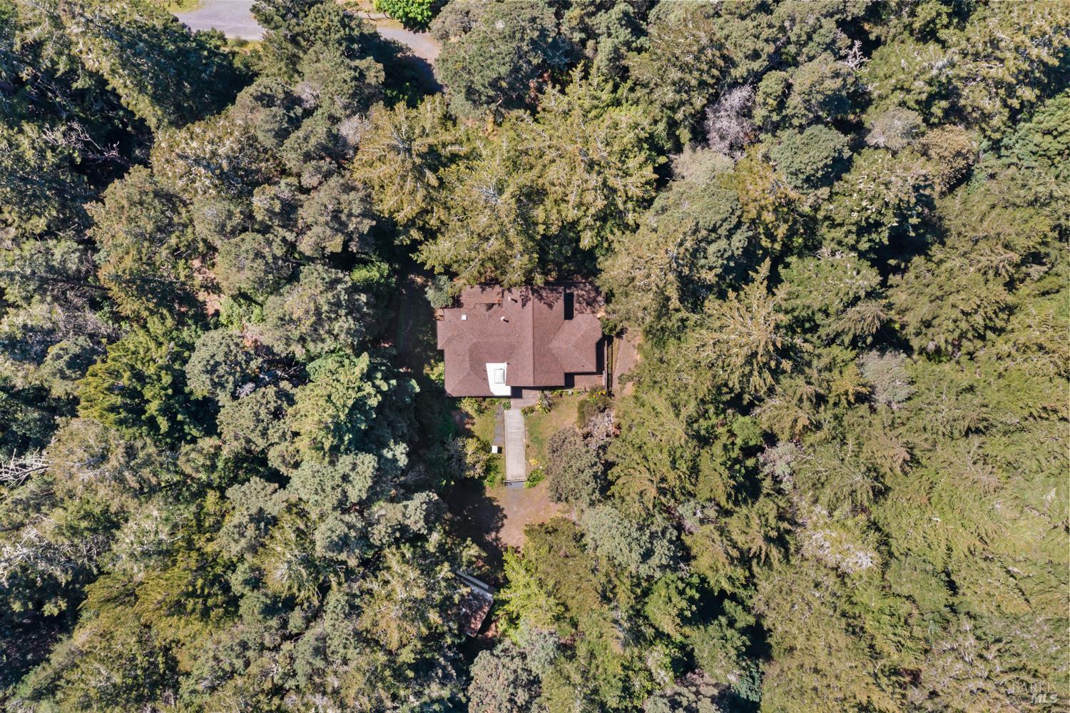 MLS #326028638 image #44