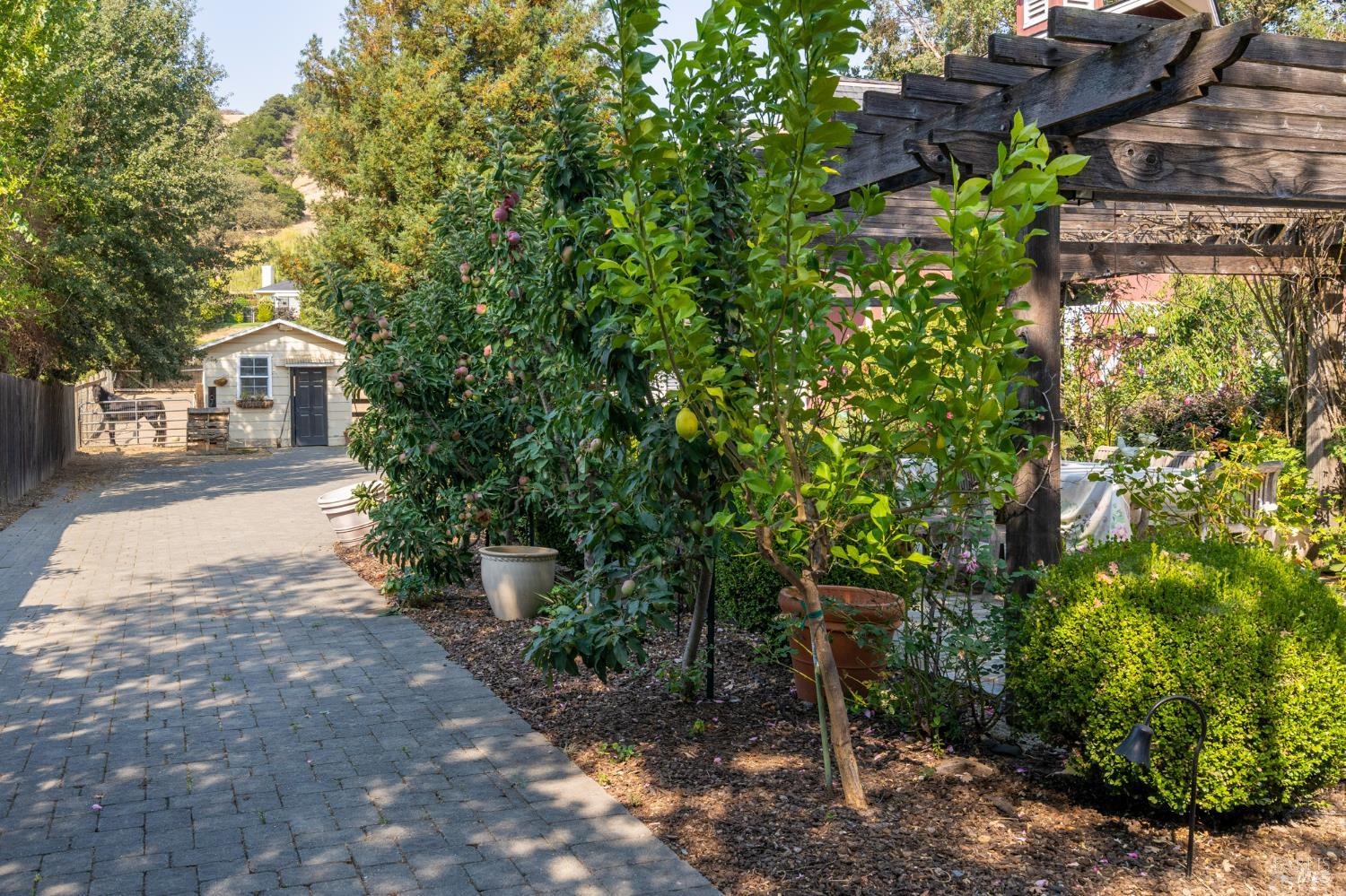 MLS #326029489 image #6