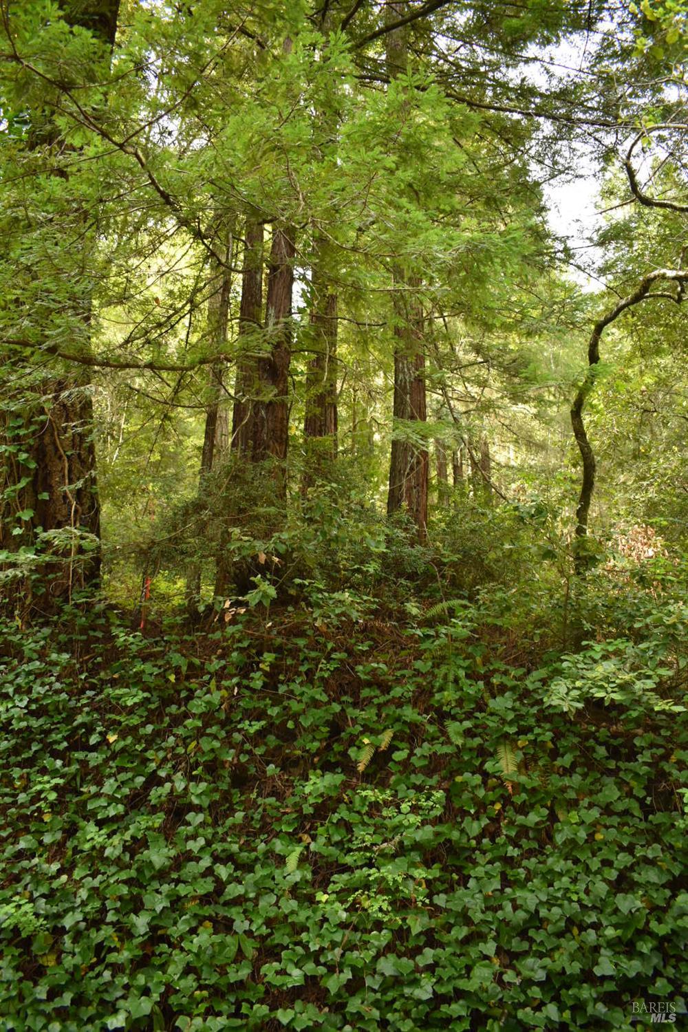 MLS #326029827 image #2