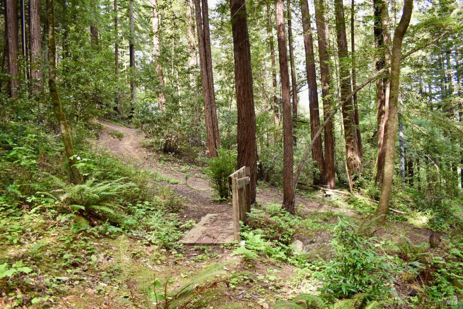 MLS #326029827 image #22