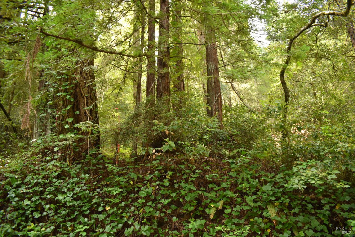 MLS #326029827 image #3