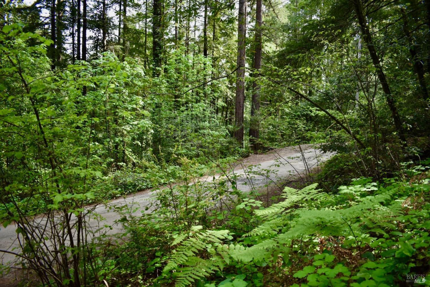 MLS #326029827 image #30