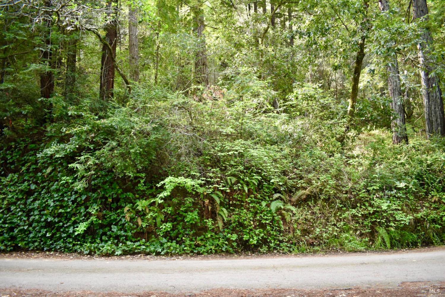 MLS #326029827 image #4