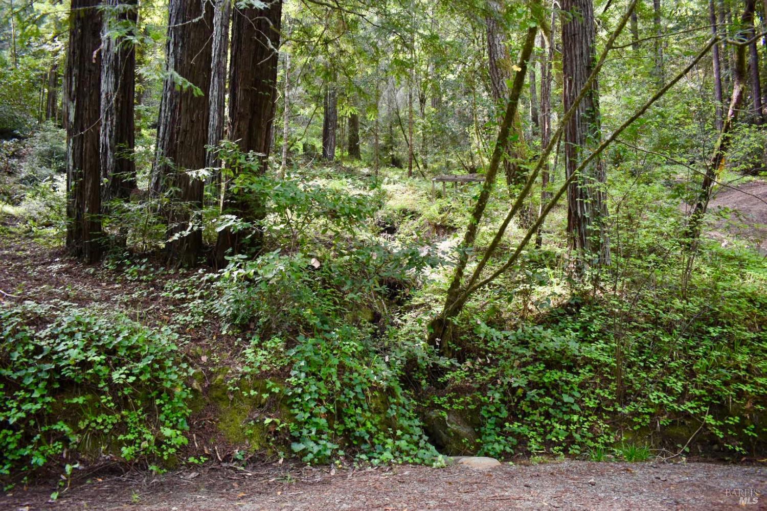 MLS #326029827 image #6