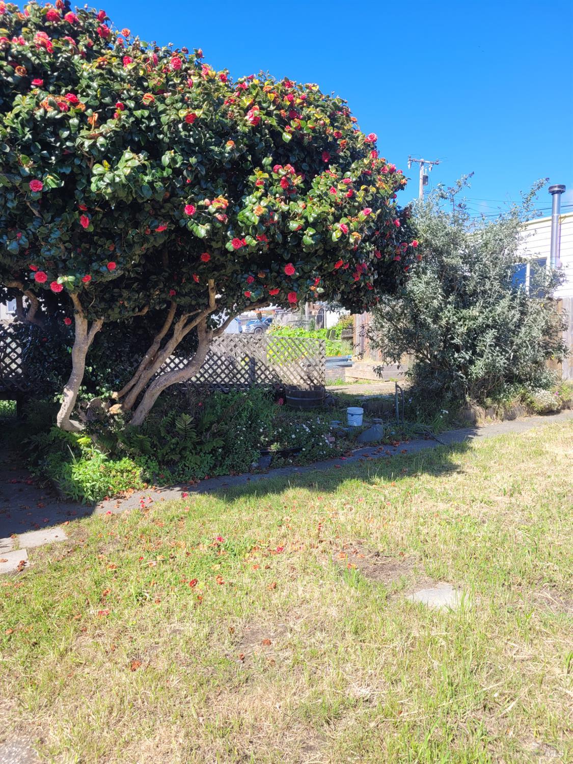 MLS #326030188 image #27