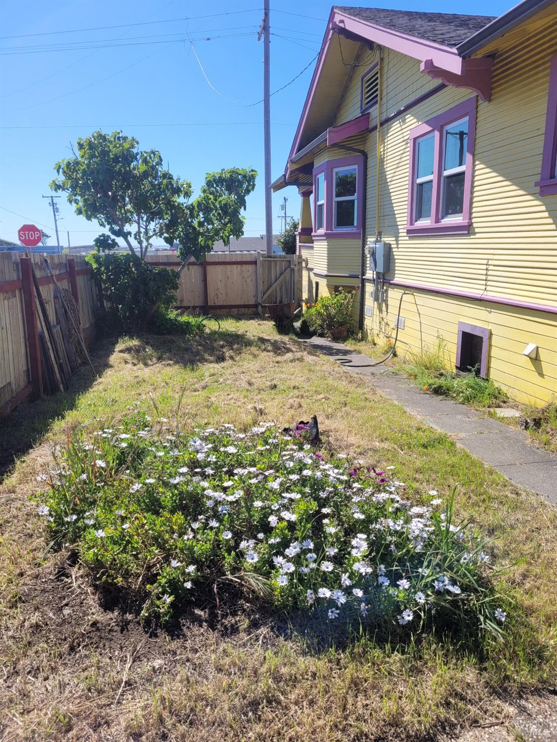 MLS #326030188 image #3