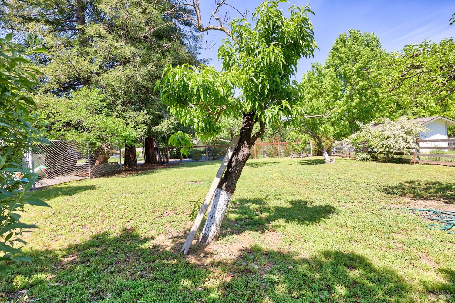 MLS #326030785 image #39