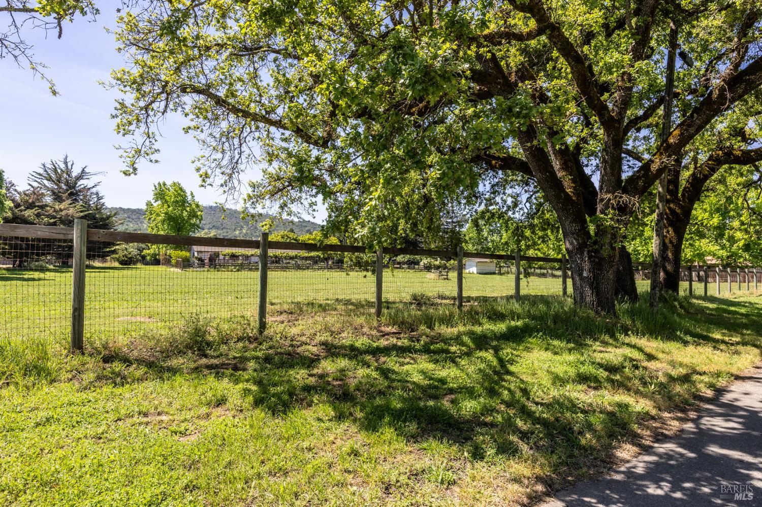 MLS #326030785 image #49