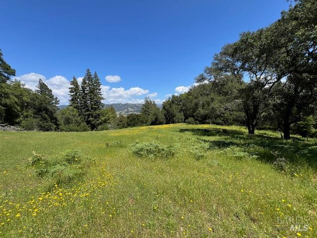 MLS #326034895 image #17