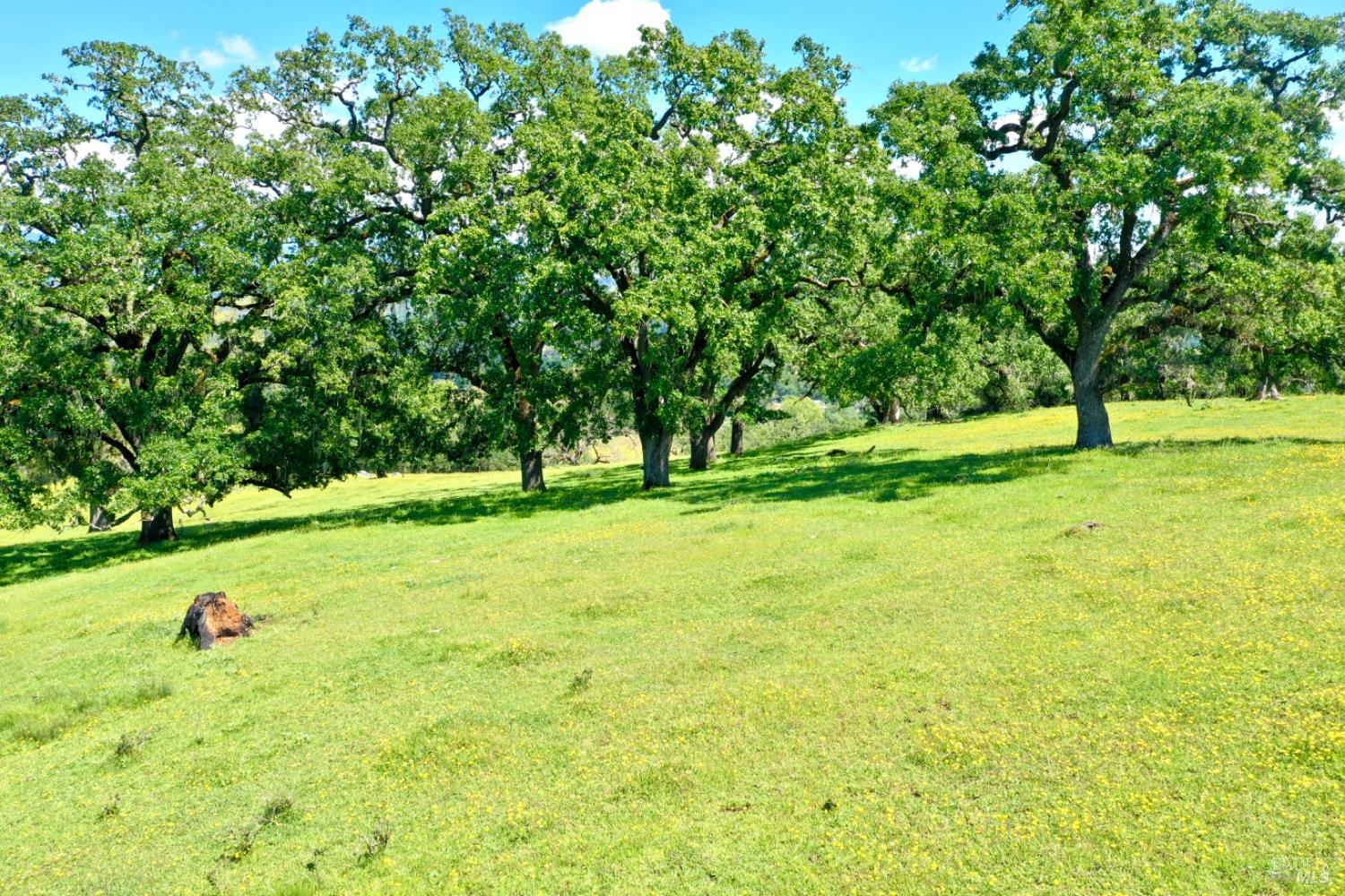 MLS #326034895 image #75