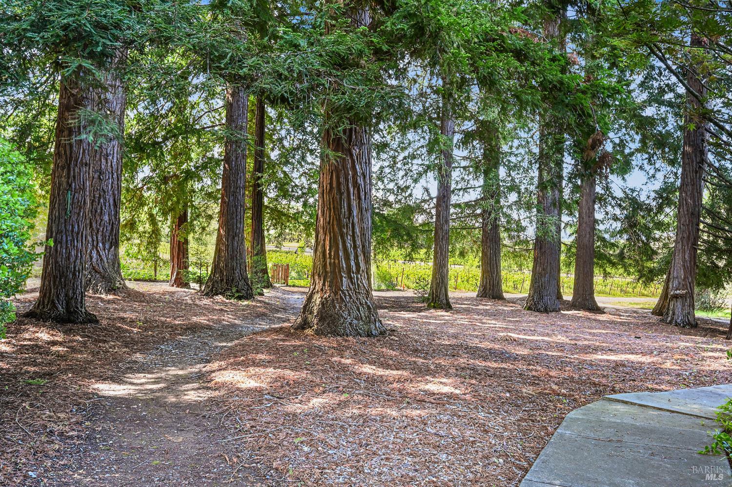 MLS #326034895 image #86