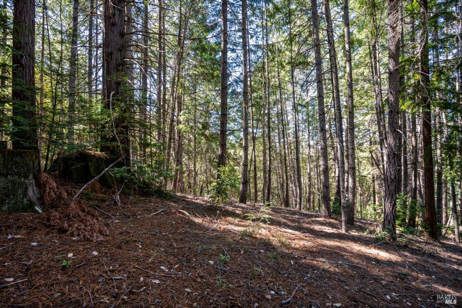 MLS #326035507 image #12