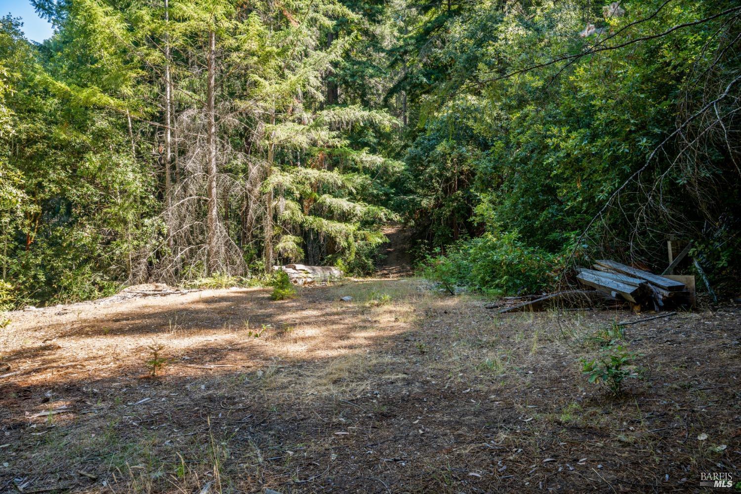 MLS #326035507 image #16