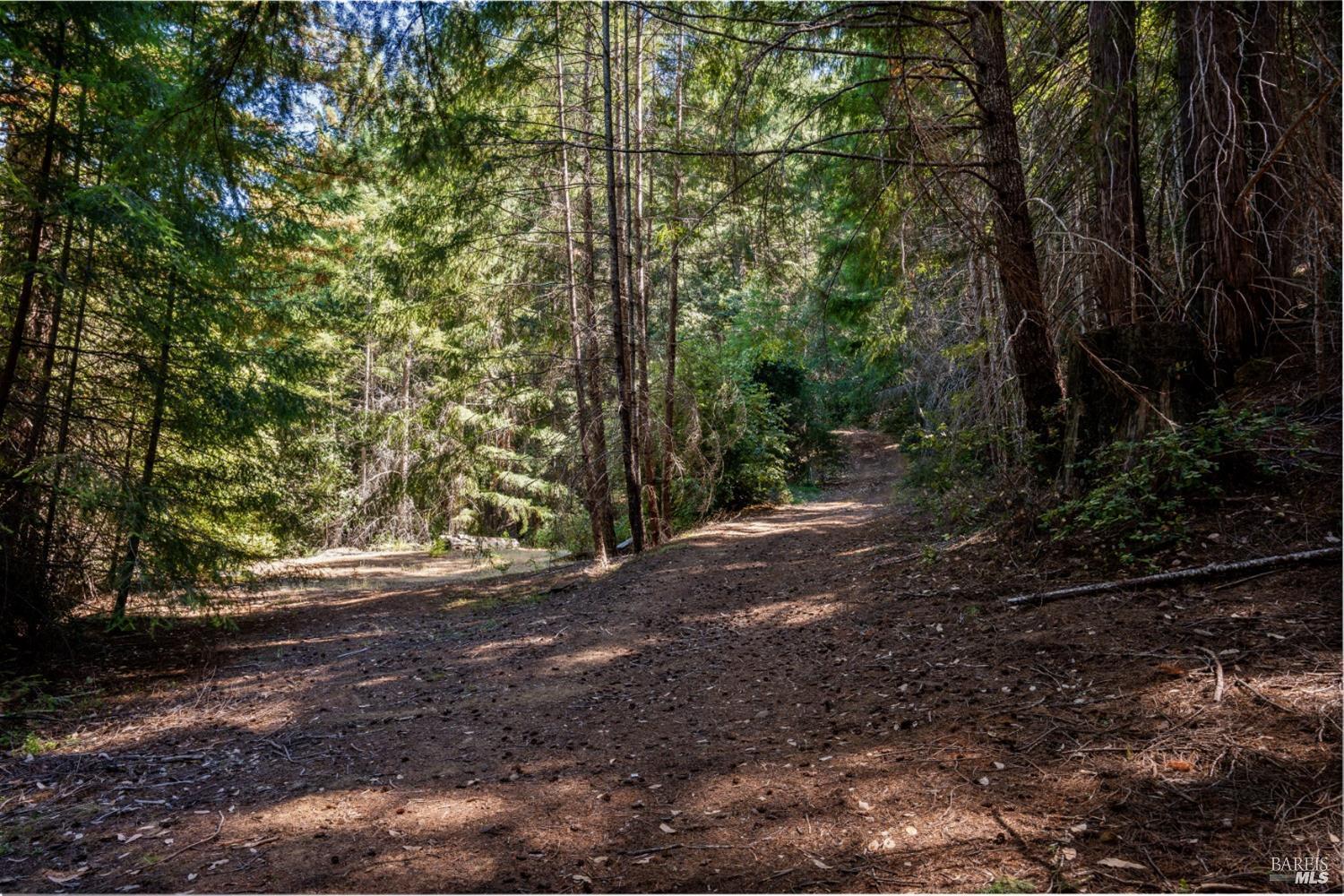MLS #326035507 image #17