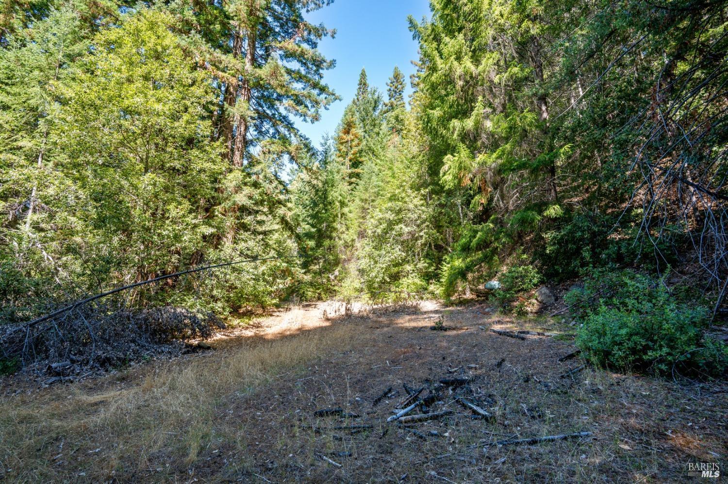 MLS #326035507 image #19
