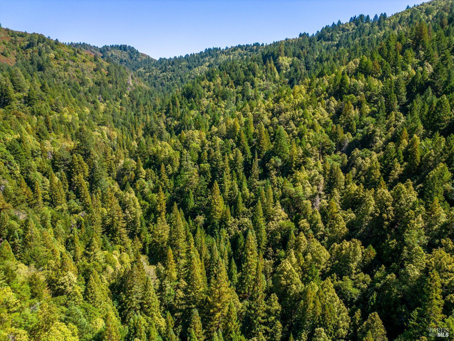 MLS #326035507 image #4